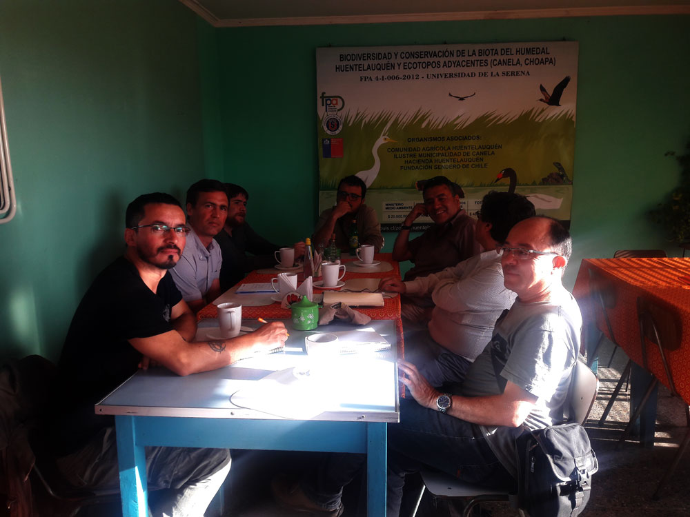 Se fortalece la red de trabajo para la conservación de la cadena de humedales costeros de Chile y Peru